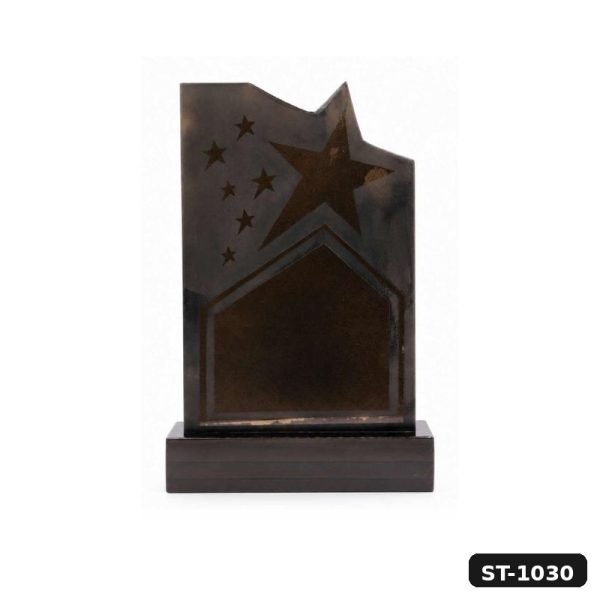 Star Excellence Wooden Award