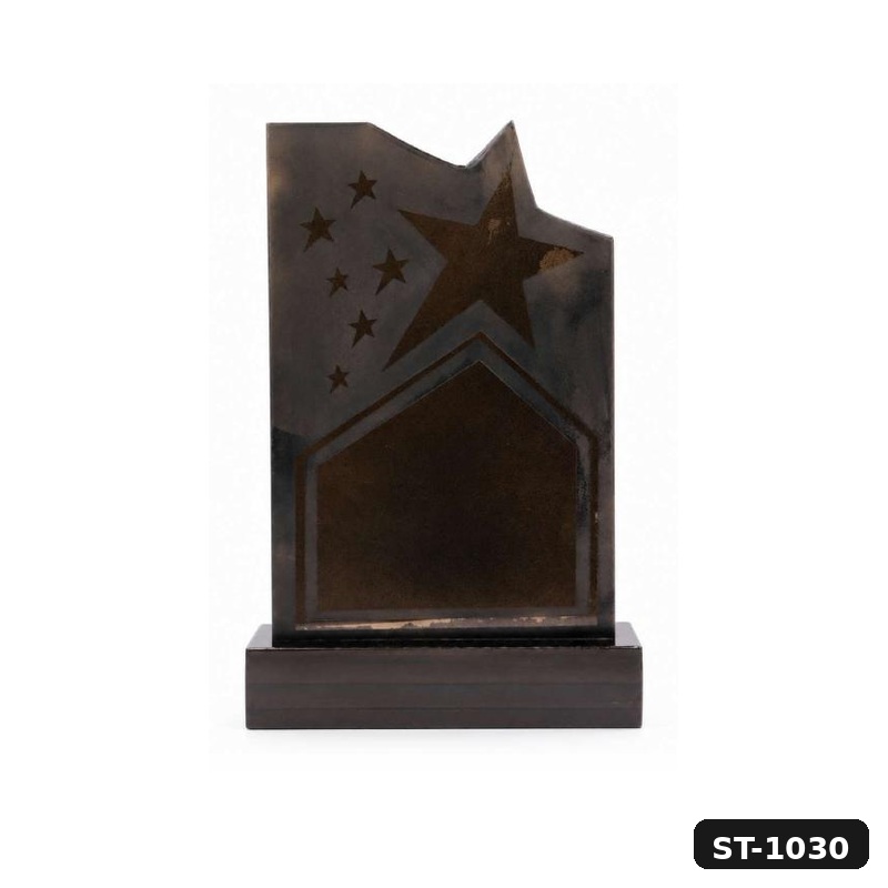 Star Excellence Wooden Award